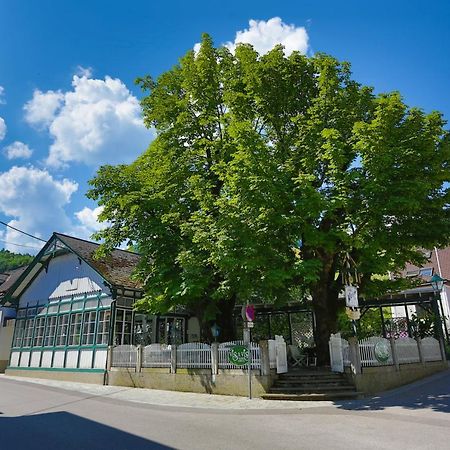 Apartment Welser Ybbsitz 외부 사진