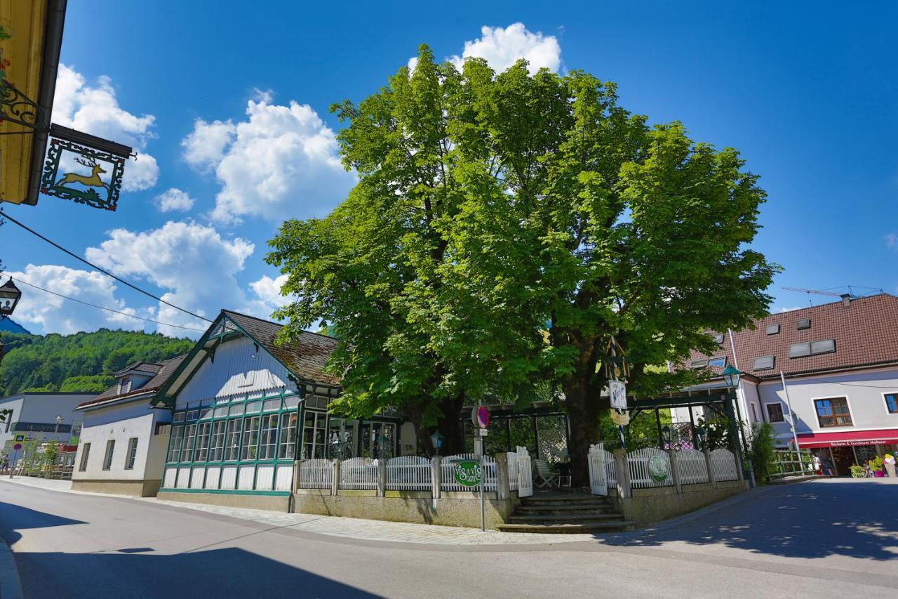 Apartment Welser Ybbsitz 외부 사진